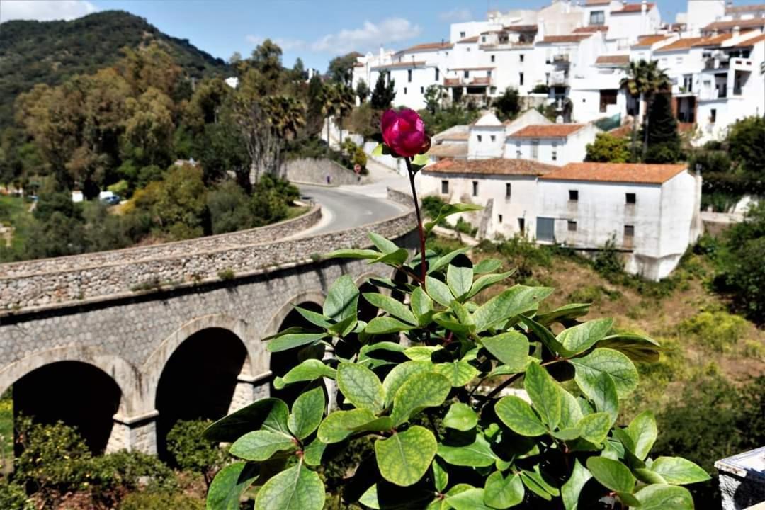 Casa Rural Sierras De Gaucin Leilighet Eksteriør bilde