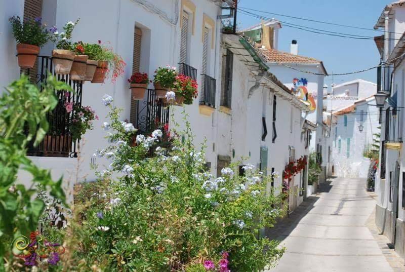 Casa Rural Sierras De Gaucin Leilighet Eksteriør bilde